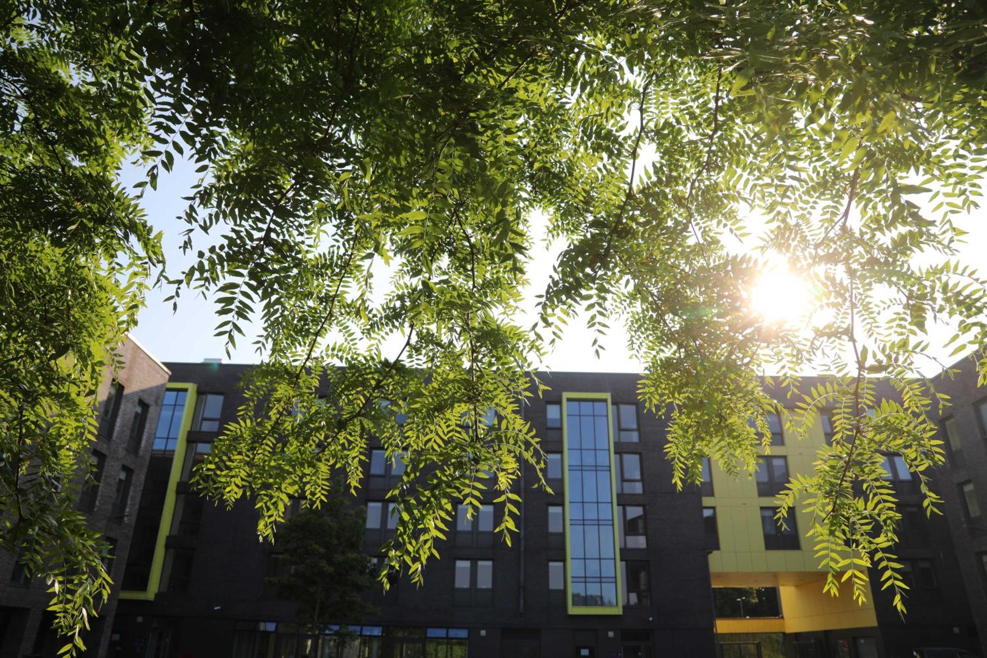 Goldcrest Village Apartments University Of ゴールウェイ エクステリア 写真